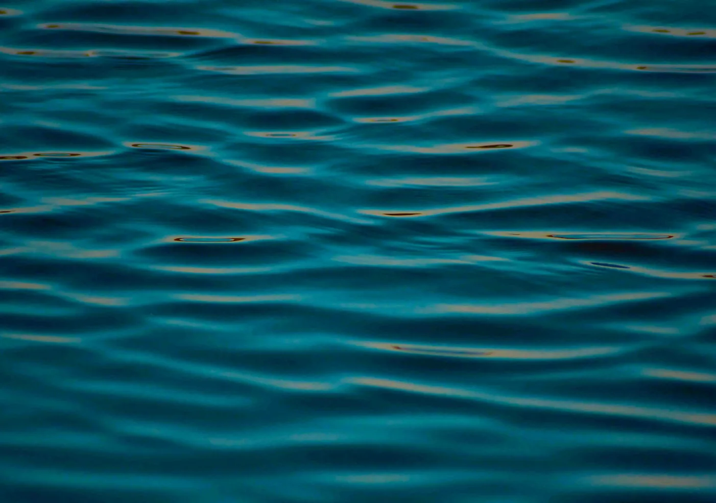 Felicita — photo 3 location yacht Cannes