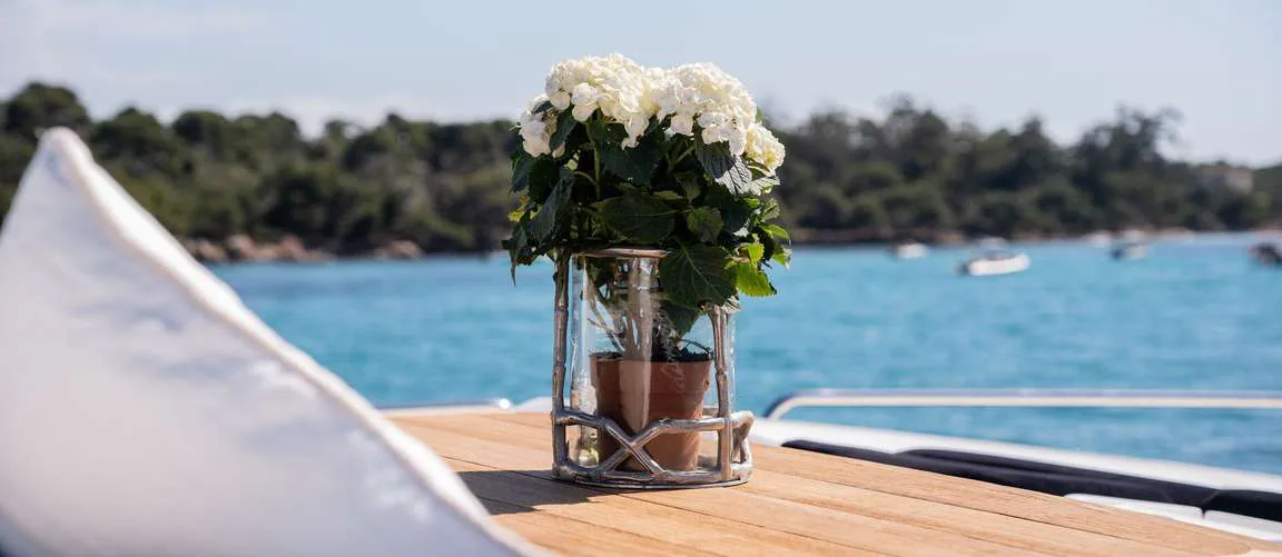 Palumba — photo 16 location yacht Cannes