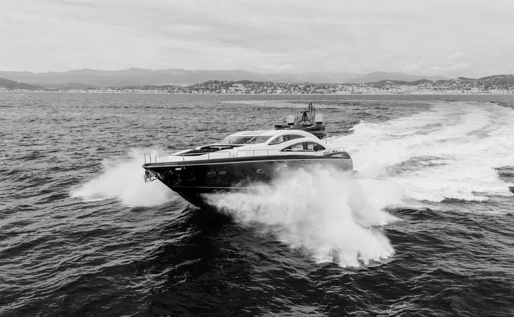 Palumba — photo 35 location yacht Cannes